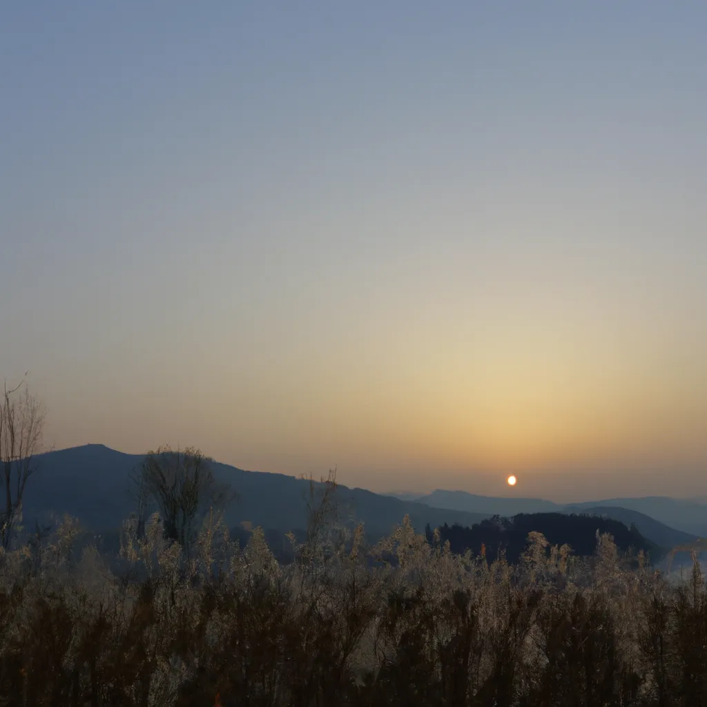 반려동물 서비스 콘텐츠의 동물등록제 위반 여부